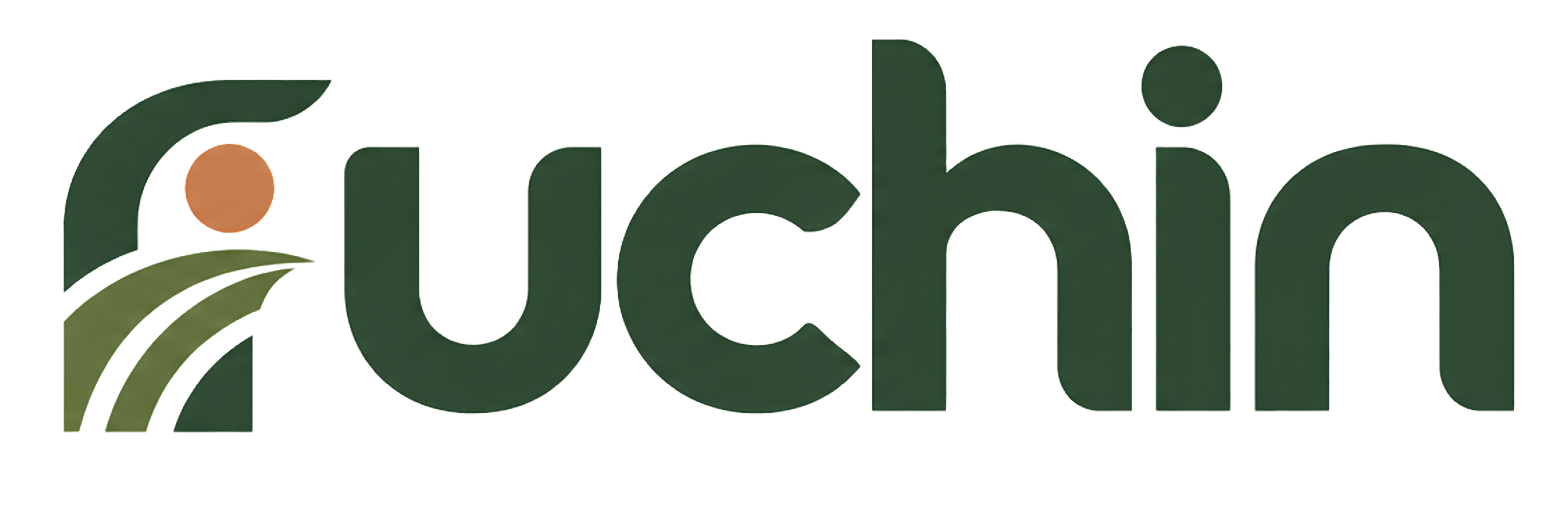 Ruchin logo