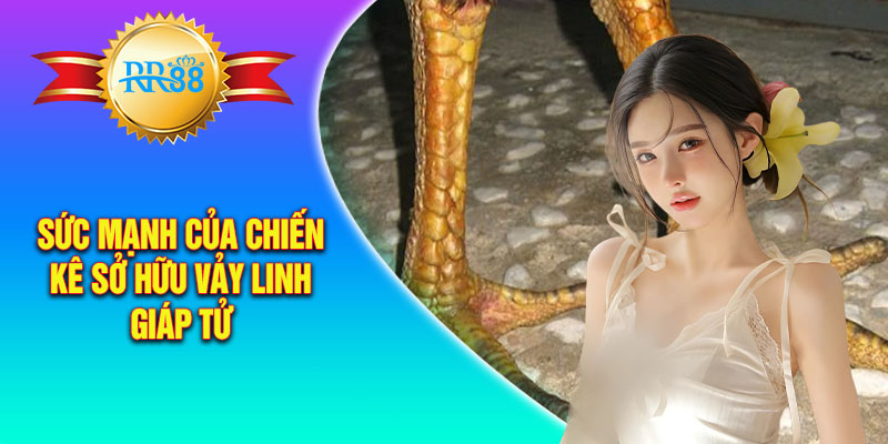 Sức mạnh của chiến kê sở hữu vảy linh giáp tử