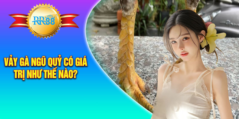 Vảy gà ngũ quỷ đem lại nhiều giá trị khác nhau